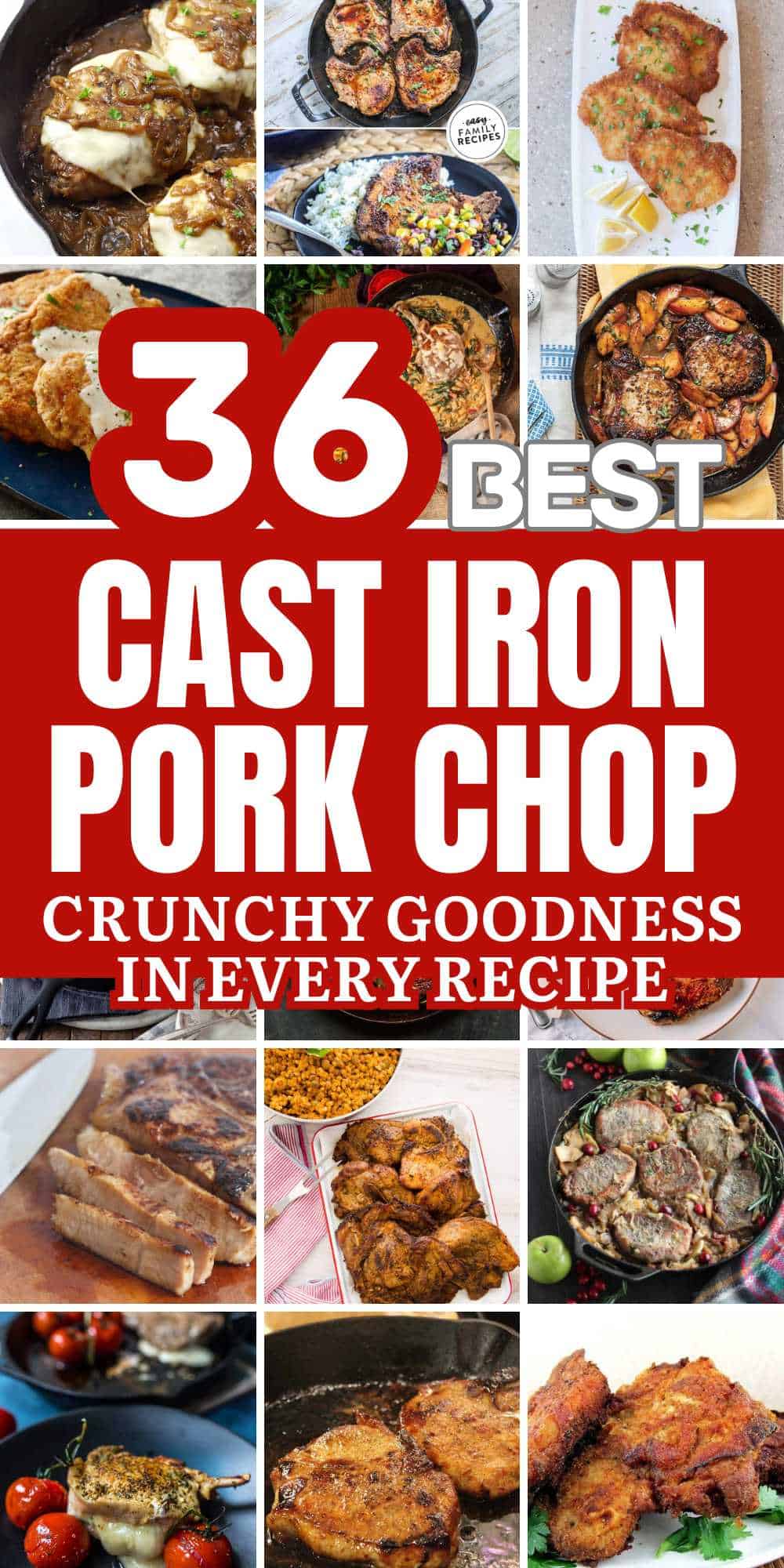 Cast Iron Pork Chop Recipes