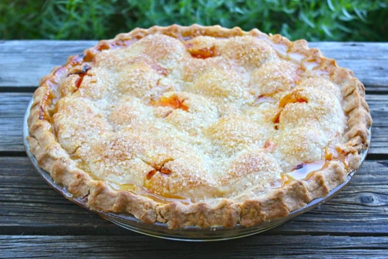 Traditional Apricot Pie