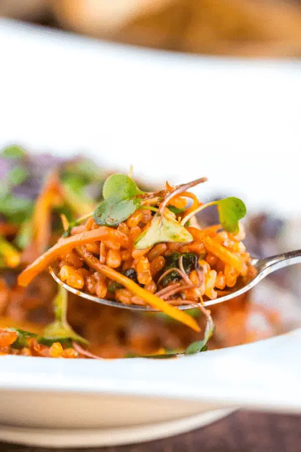 Saessak Bibimbap with Microgreens