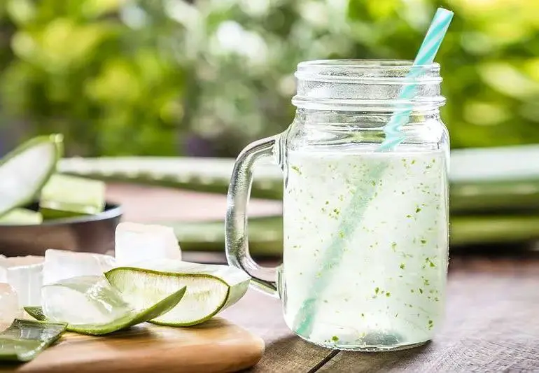 Aloe Vera Digestive Soother Juice