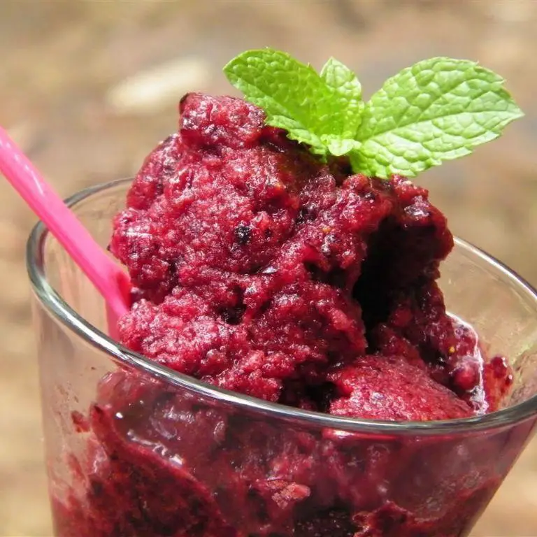 Amarena Cherry Sorbet