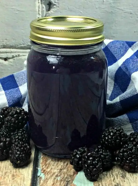 Blackberry Bliss Moonshine Mash