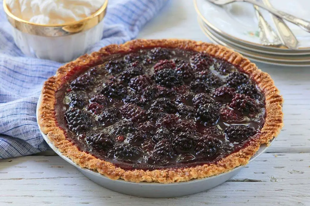 Blackberry Single Crust Pie
