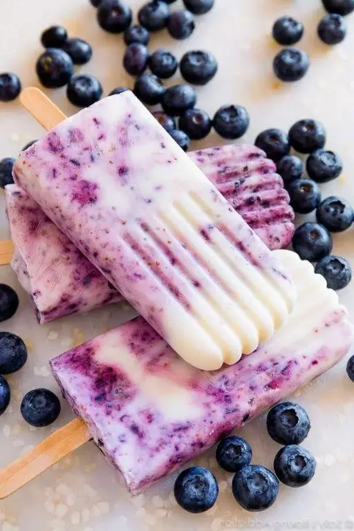 Blueberry Yogurt Popsicles