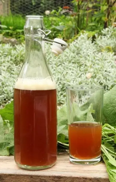 Burdock Root Juice