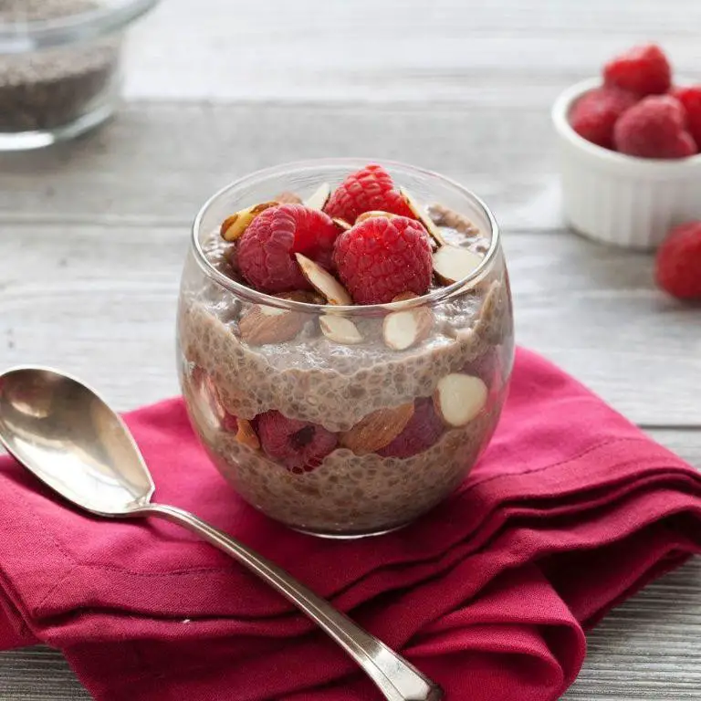 Cacao Nibs and Raspberry Chia Pudding