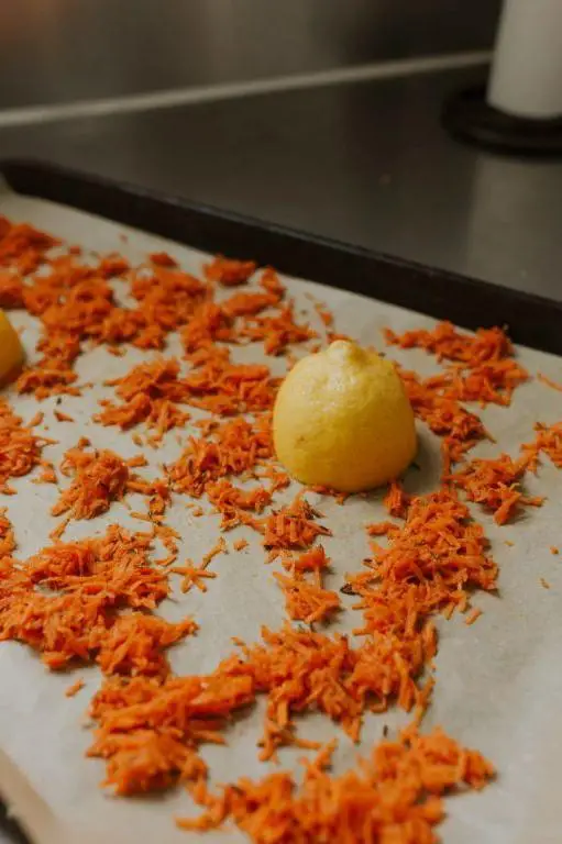 Carrot Pulp Hummus