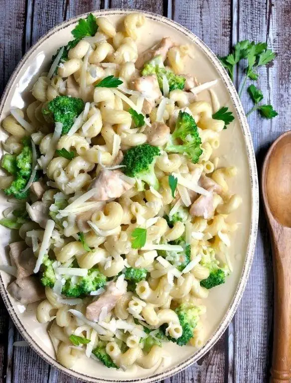 Cavatappi Alfredo with Broccoli