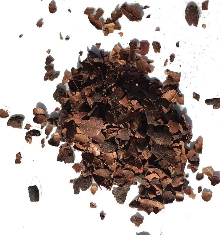 Chocolate Indulgence Loaded Tea