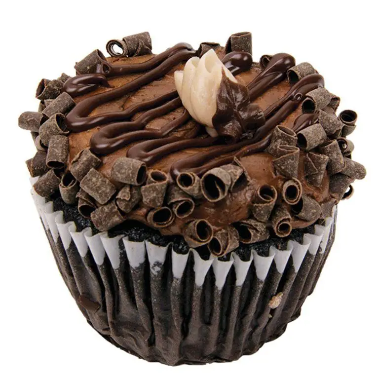Chocolate Lovers Gourmet Cupcakes