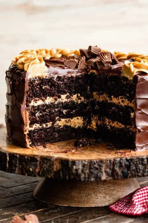 Chocolate Peanut Butter Cake