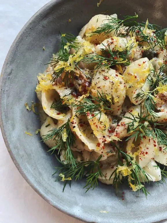 Conchiglie with Smoked Salmon and Dill Cream Sauce