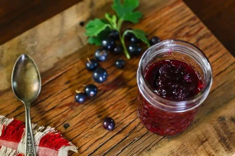 Current Jelly with Honey