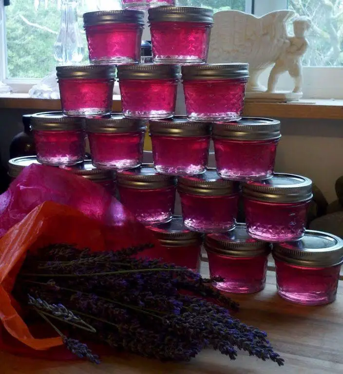 Current Jelly with Lavender