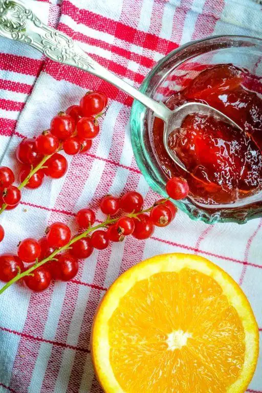 Current Jelly with Orange Zest