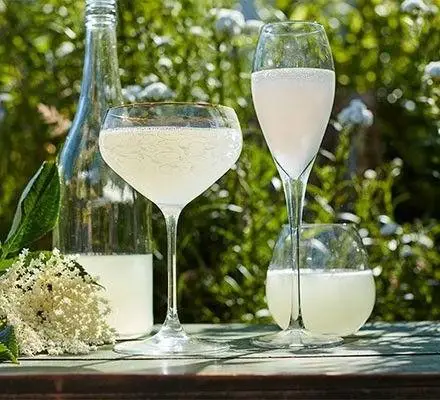 Elderflower Champagne
