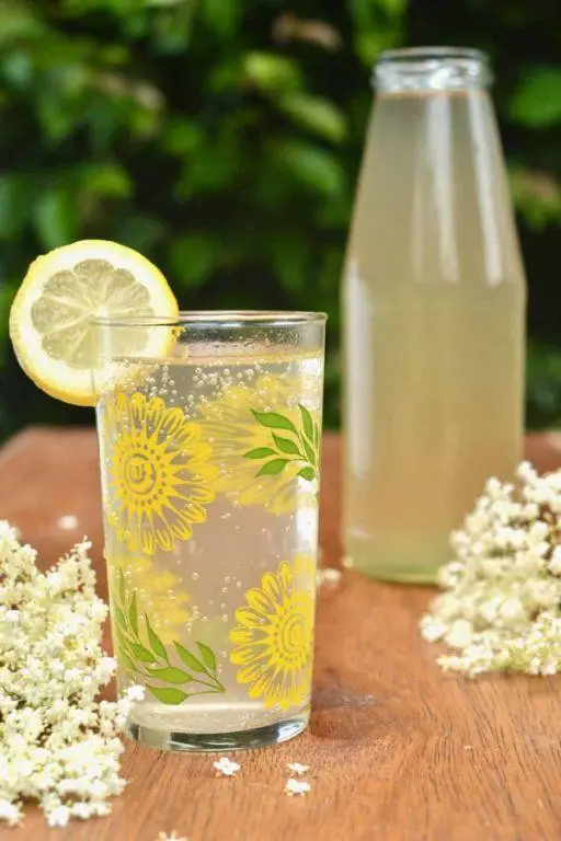 Elderflower Cordial
