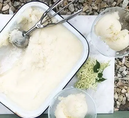 Elderflower Sorbet