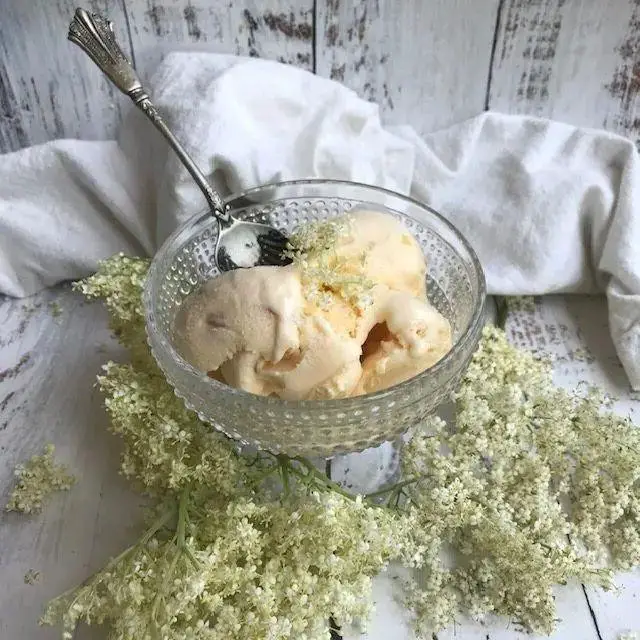 Elderflower and Honey Ice Cream