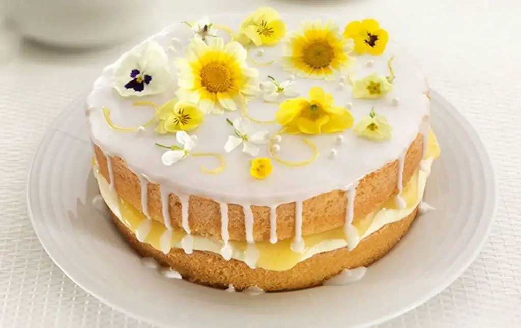 Elderflower and Lemon Drizzle Cake