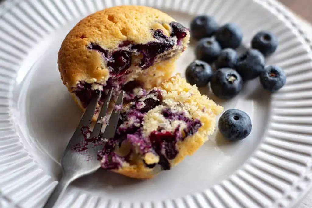 Freeze Dried Blueberry Muffins