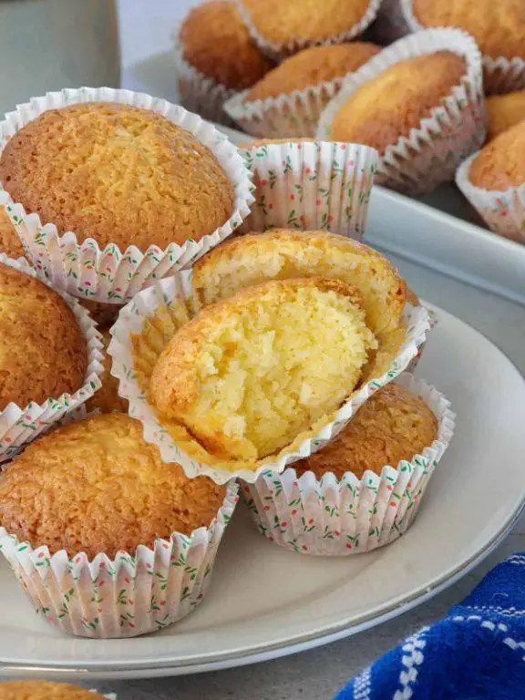 Freeze Dried Coconut Macaroons