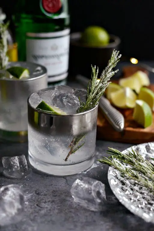 Gin and Tonic