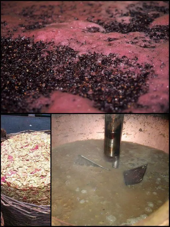 Grape Escape Moonshine Mash