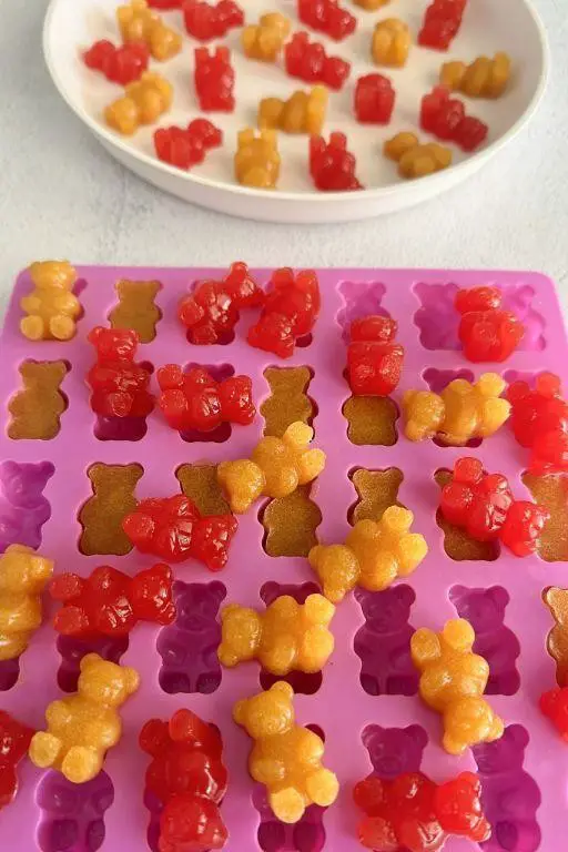 Homemade Gummy Bears