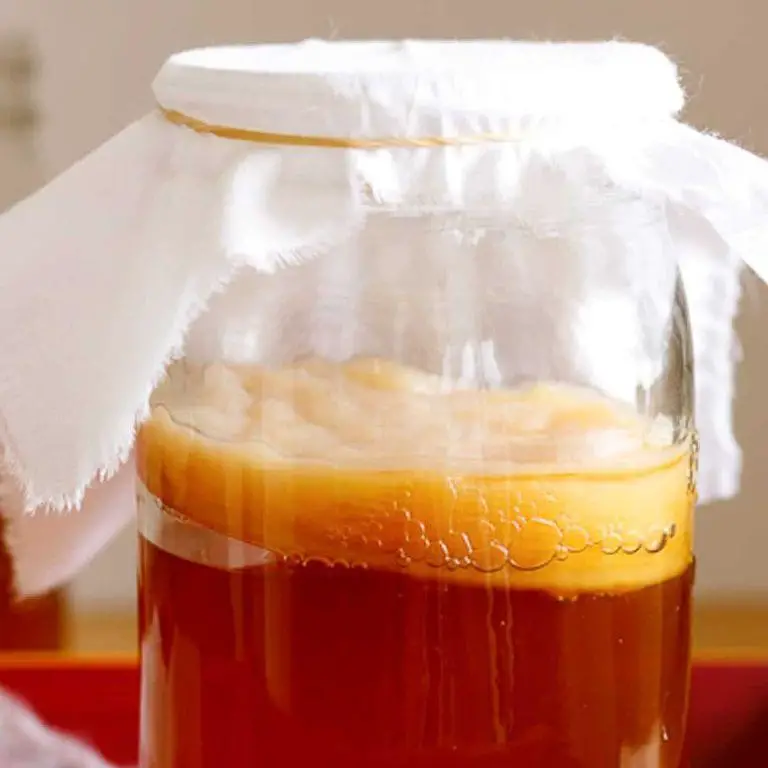 Homemade Kombucha