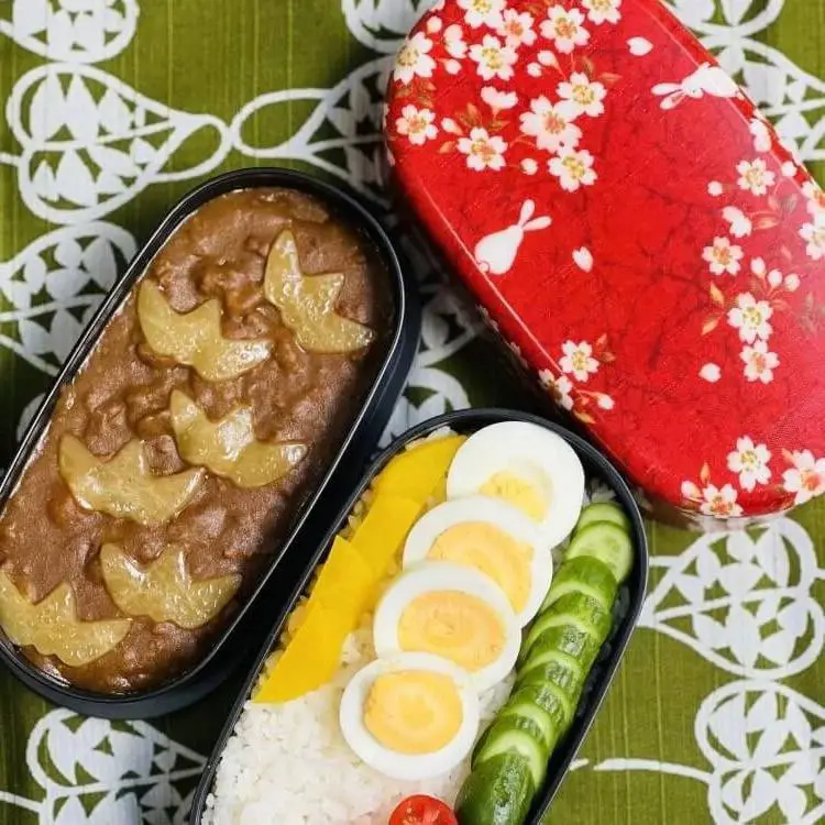 Japanese Curry Bento Box