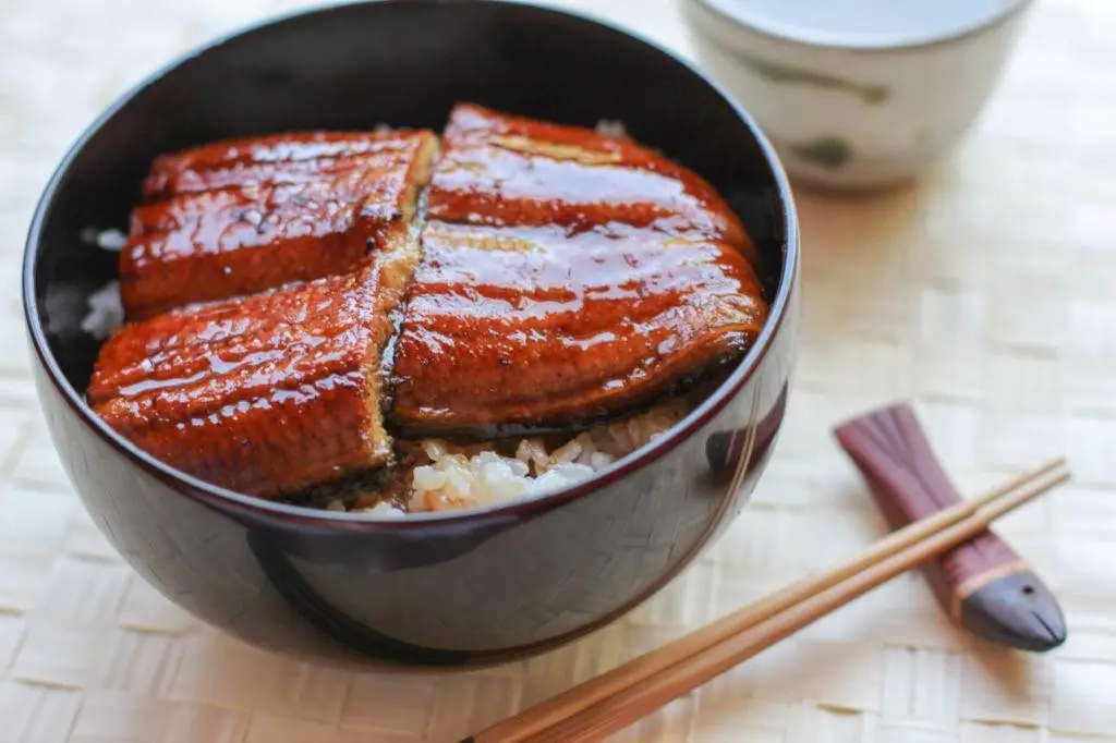 Japanese Unagi Don