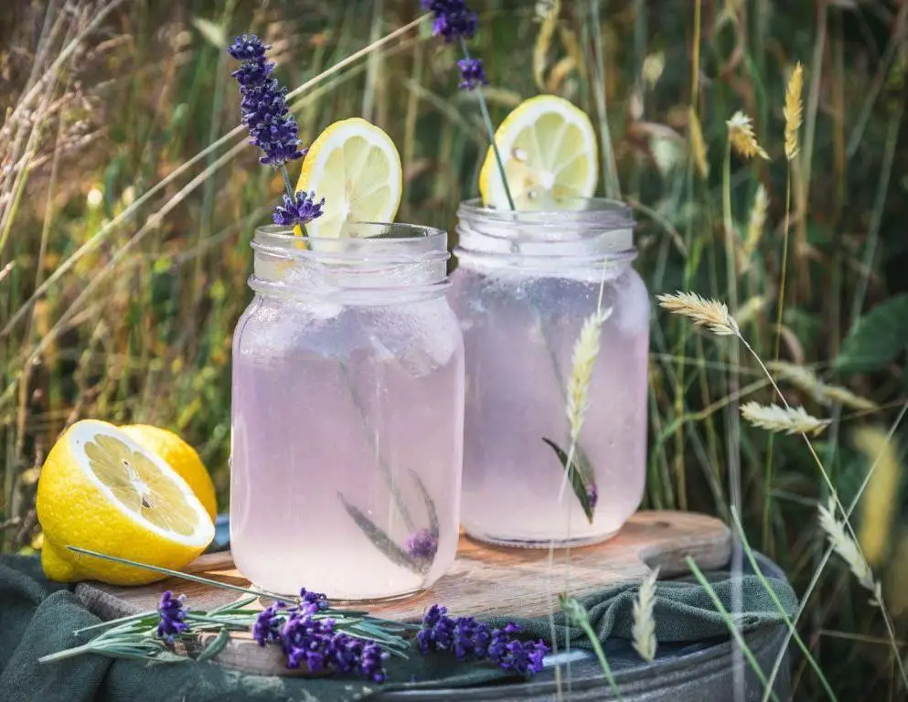 Lavender Lemonade