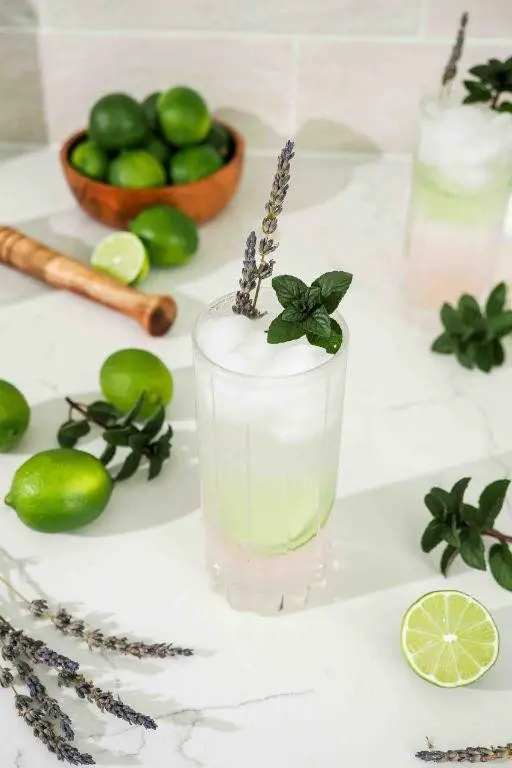 Lavender Mint Mojito