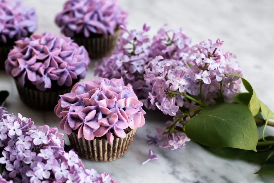 Lilac Cupcakes with Edible Flowers