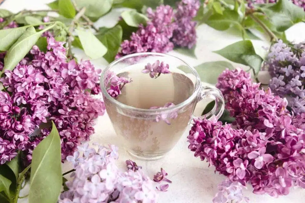 Lilac Herbal Tea Blend