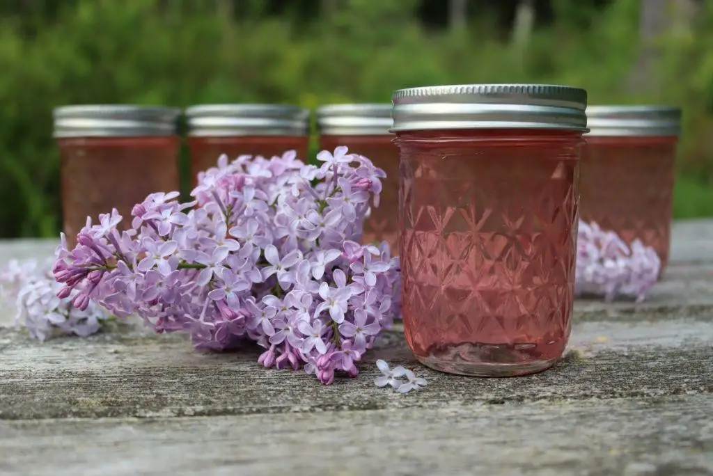 Lilac Jelly