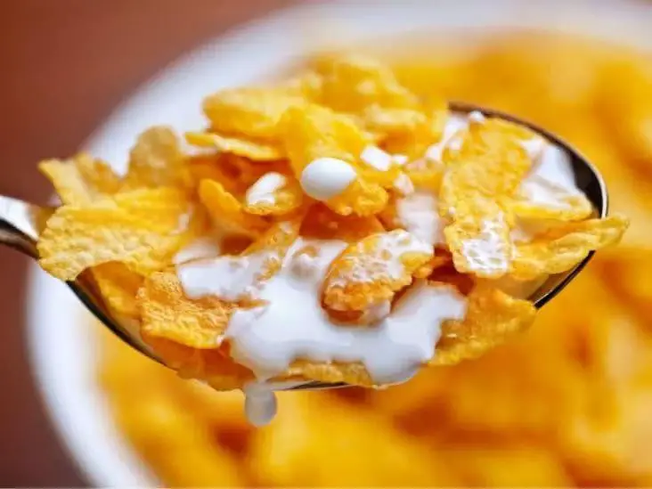 Low-Fiber Cereal