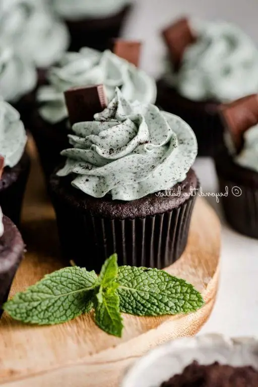 Mint Chocolate Chip Gourmet Cupcakes