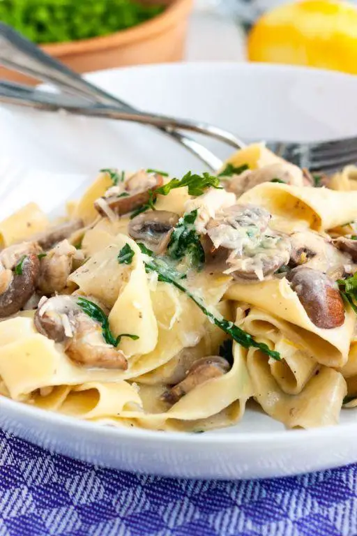 Mushroom Chicken Alfredo with Ragu