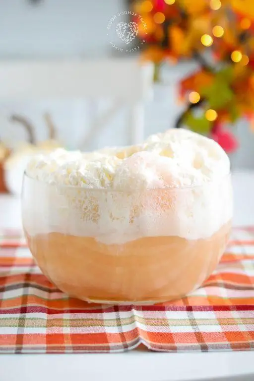 Orange Dream Sprite Punch