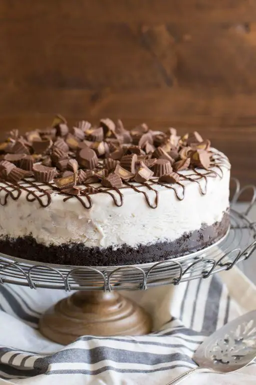 Peanut Butter Cup Ice Cream Cake