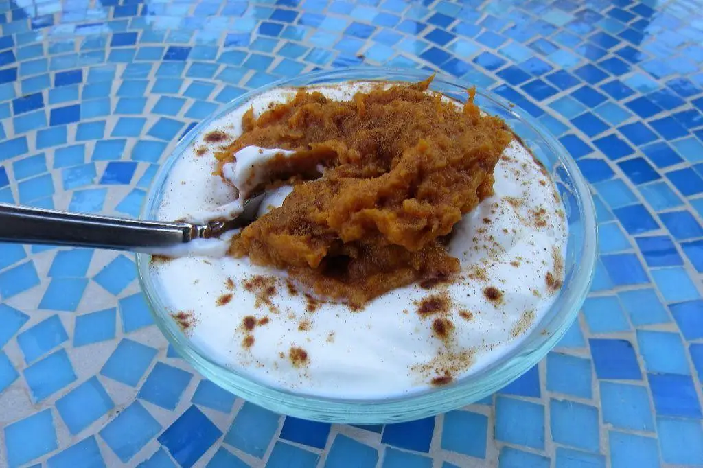 Plain Yogurt without Fruit