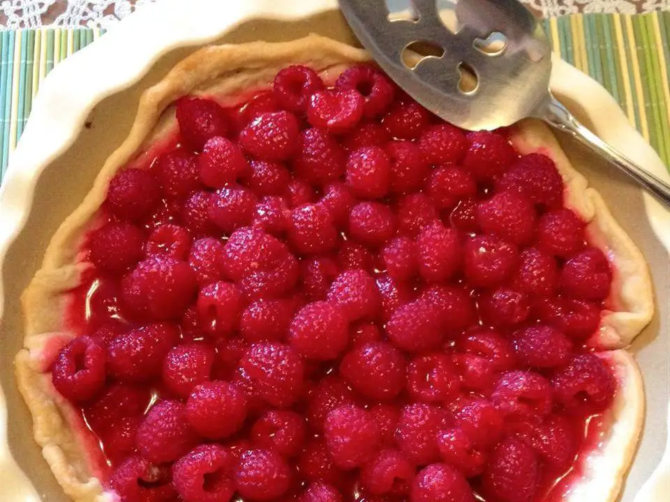 Raspberry Single Crust Pie