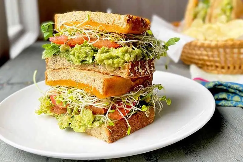Roast Beef Sandwich with Avocado and Sprouts