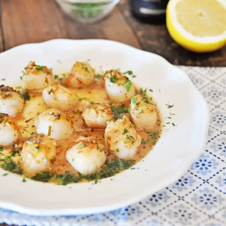 Scallops with Champagne Sauce