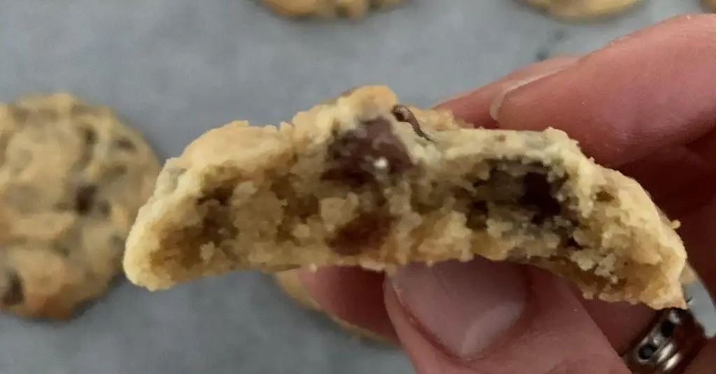 Silken Tofu Peanut Butter Cookies