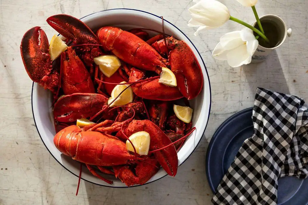 Steamed Maine Lobster