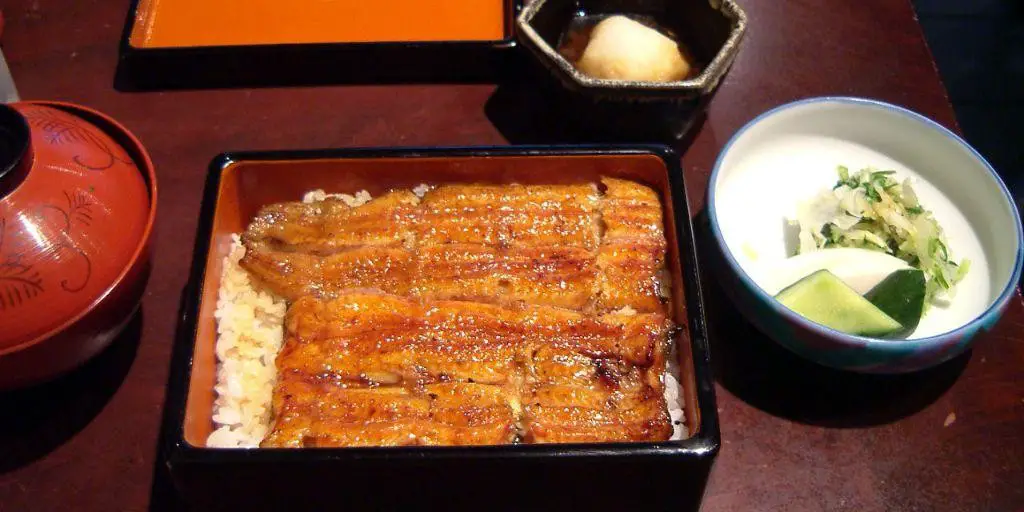 Unagi Bento Box