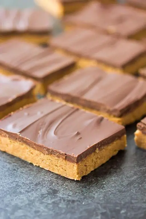 Vegan Chocolate Peanut Butter Bars